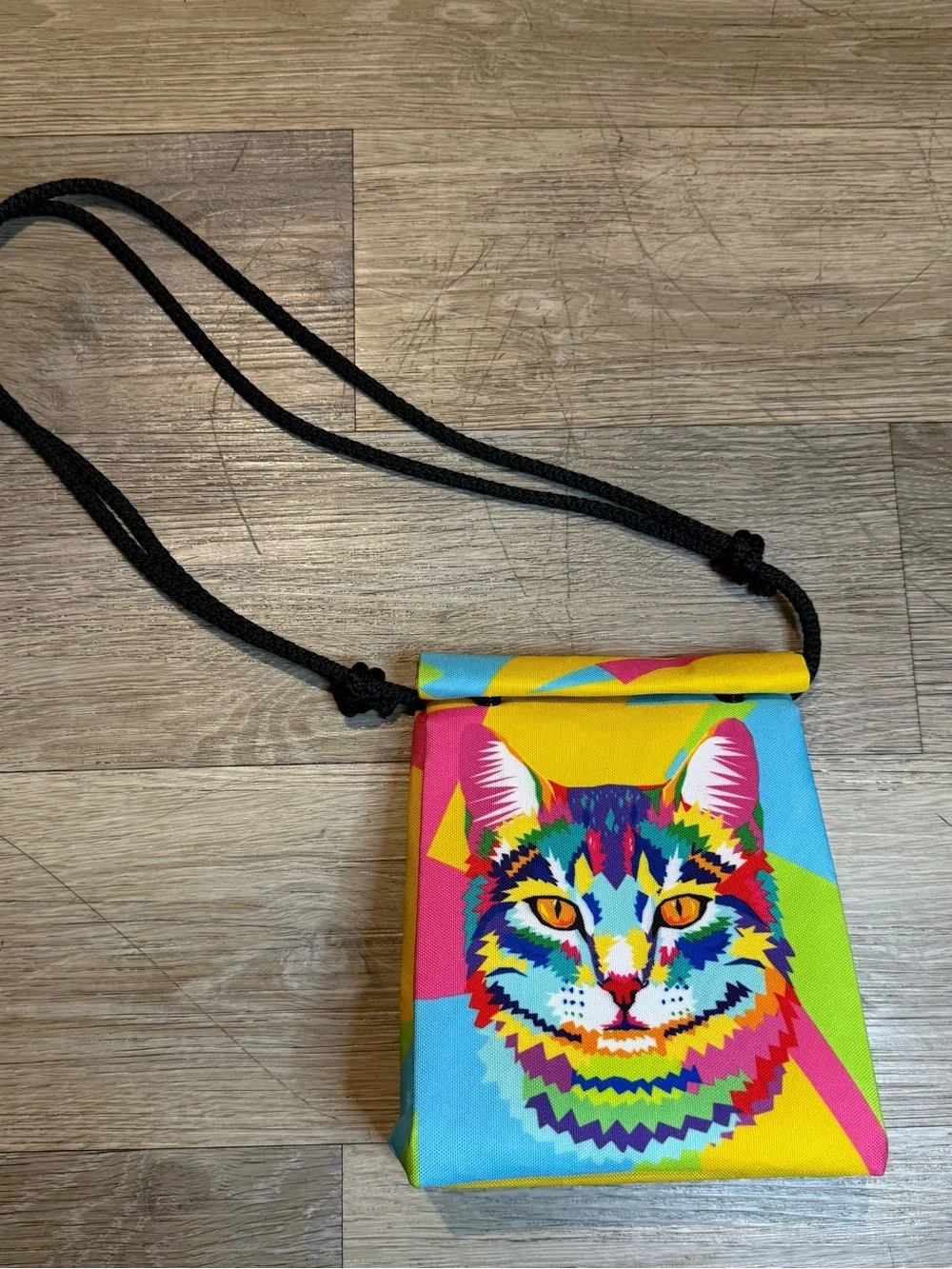 Colorful Cat Crossbody Pouch – Multicolor